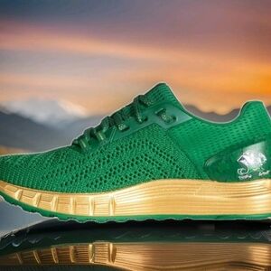 Under Armour Sonic 2 Hovr Notre Dame Fighting Irish  Athletic Shoes Sz.12.5D